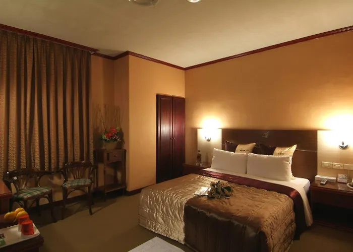 Golden Swallow Hotel Hsinchu City