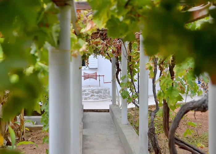 Vasilaras Hotel Skala 