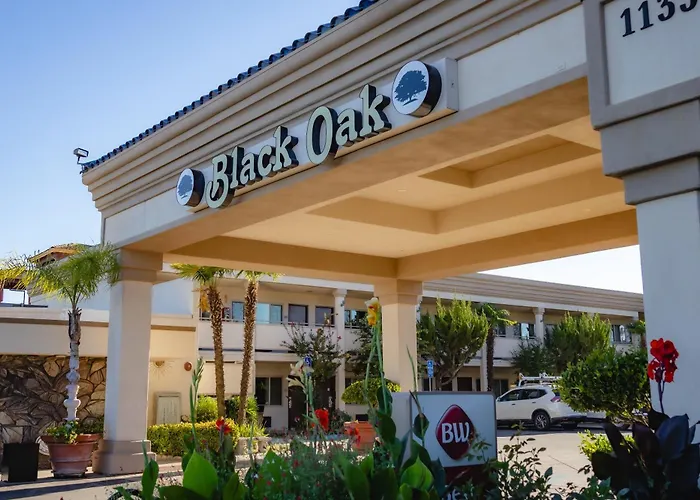 Best Western Plus Black Oak El Paso de Robles