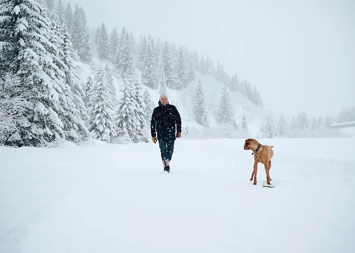 Das Johann Stuben am Arlberg