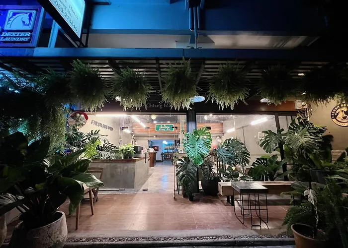 B House Chiang Mai Thailand