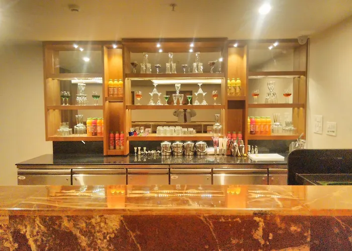 Hotel Solitaire Raipur 