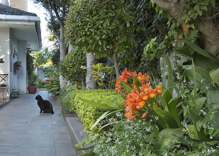 Carslogie House Bed & Breakfast Port Elizabeth