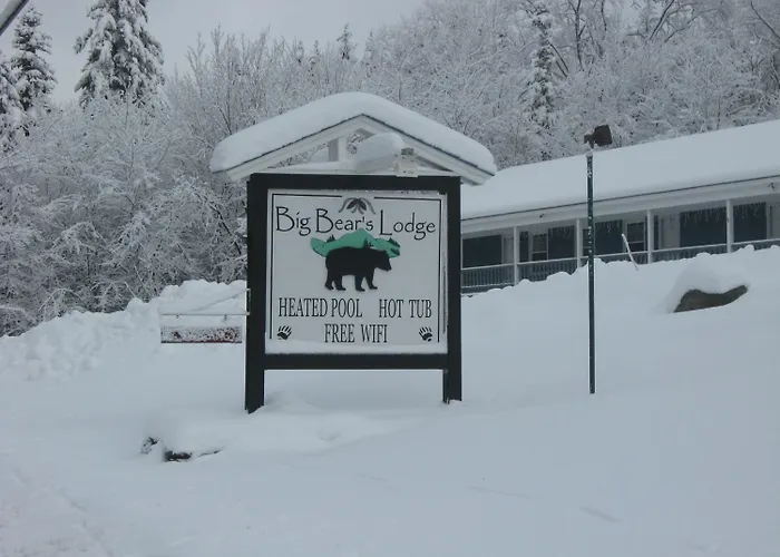 Big Bears Lodge West Dover