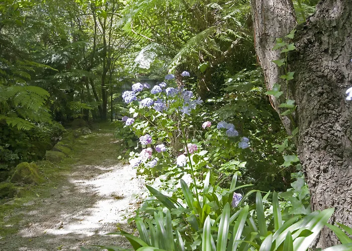 Lotus Lodges Sassafras