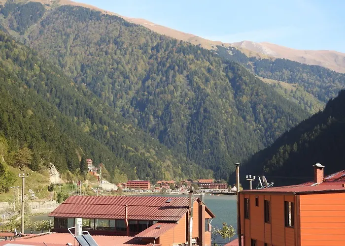 Zengin Motel Uzungöl
