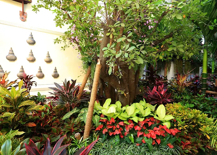 Viangluang Resort Chiang Mai