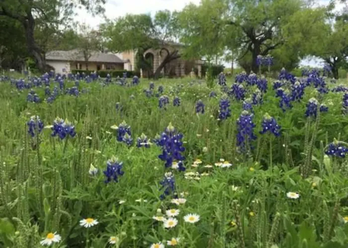 Live Oaks Bed And Breakfast Uvalde
