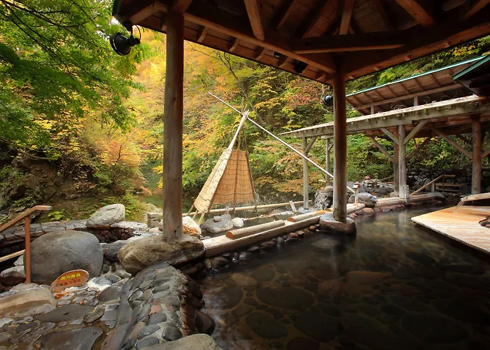 Sakunami Onsen Yuzukushi Salon Ichinobo Sendai