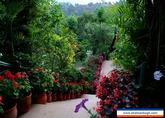 Shaheen Bagh - A Luxury Resort & Spa Dehradun