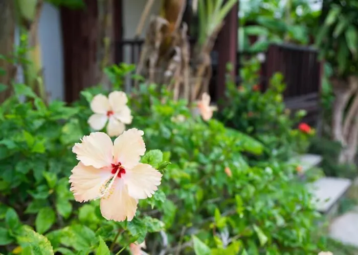 Weekender Bungalow Lamai Beach 