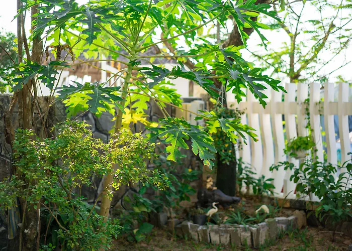 An Bang Beach Nature Homestay Hội An