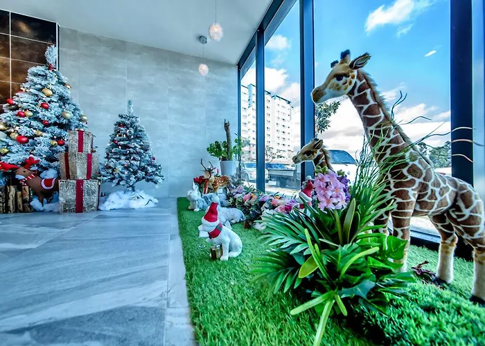 Jungmoon City Hotel & J-Hill Hotel Seogwipo