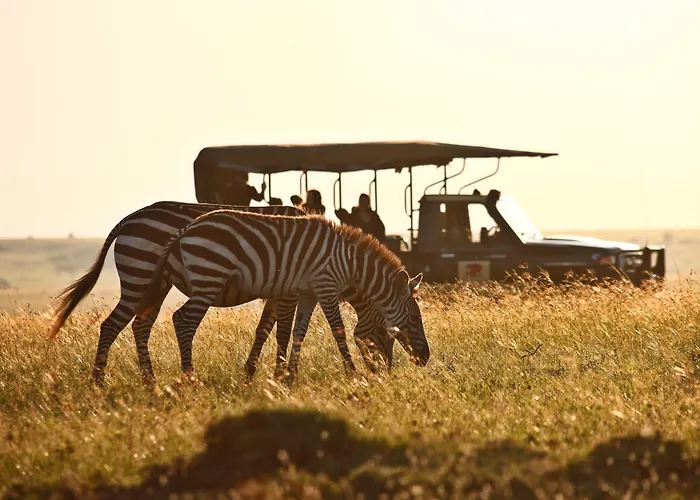 Elewana Elephant Pepper Camp Maasai Mara