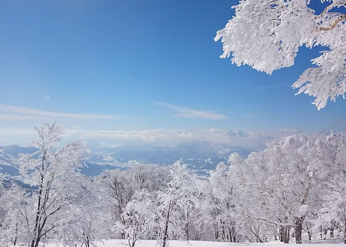 Nozawa Dream Hotel