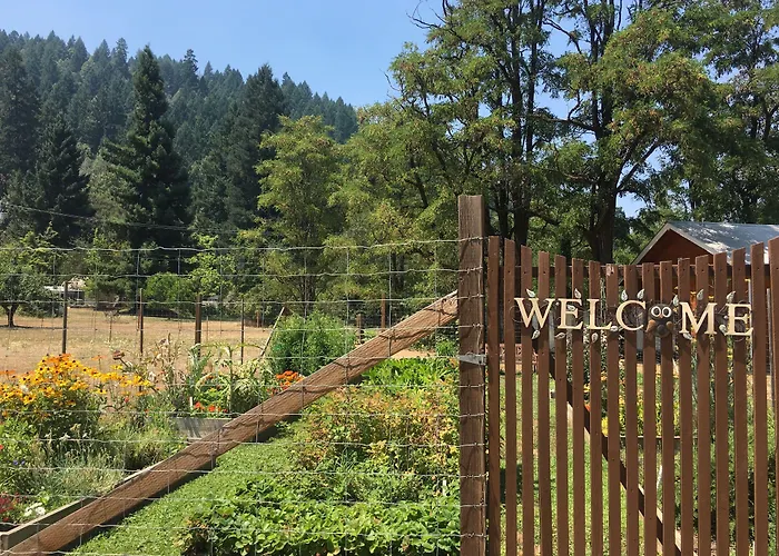 Coho Cottages Willow Creek