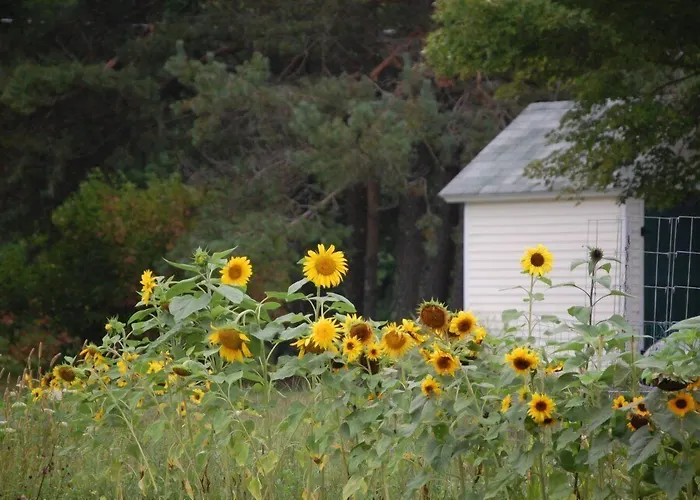 Clary Lake Bed And Breakfast Jefferson