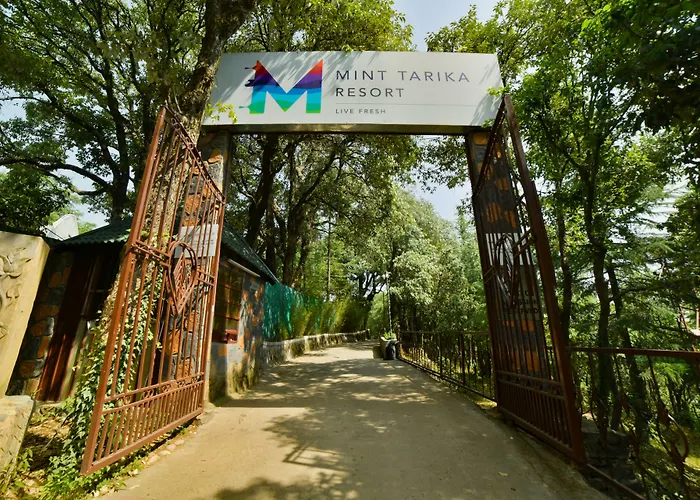 Mint Tarika Resort Chail
