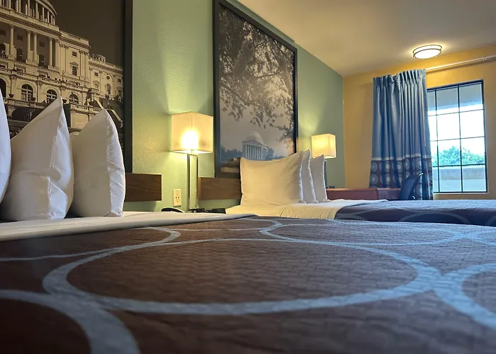 Super 8 Alexandria By Wyndham