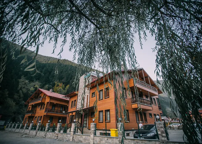Turkuaz Apart Uzungöl