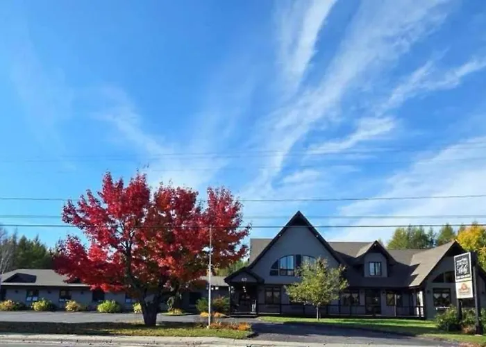Auberge Micky Inc Edmundston