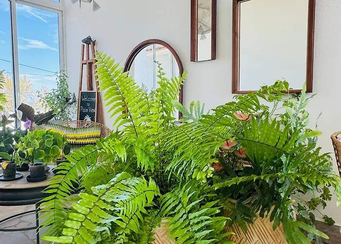 Palm View Guesthouse, Adults Only Luz