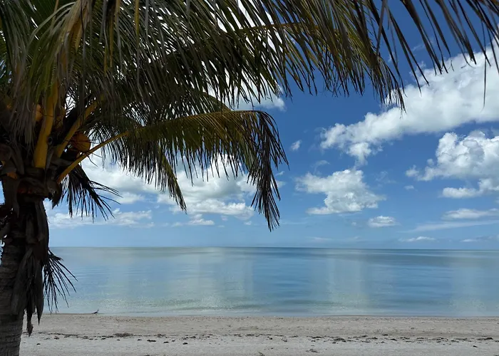 Hotel Manglares Cabana Pelicano Celestun