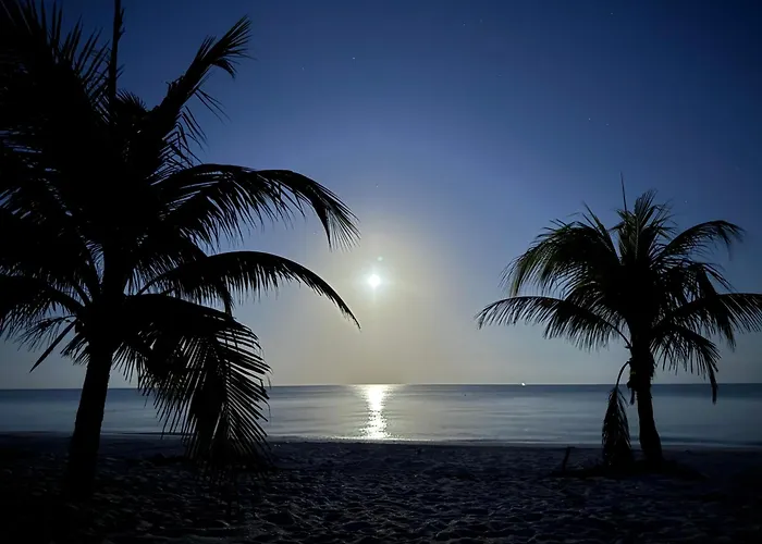 Hotel Manglares Cabana Pelicano Celestun