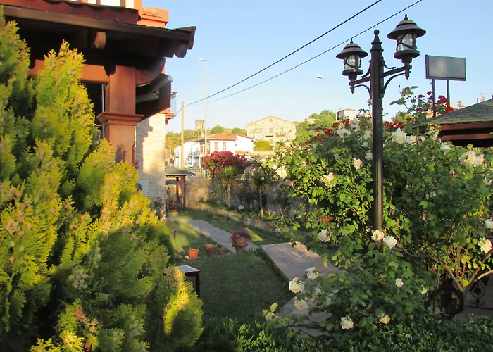 Suinn Cunda Ayvalı