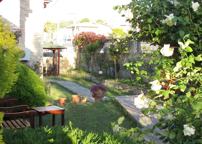 Suinn Cunda Ayvalı