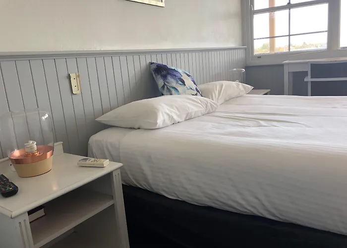Squid'S Ink Motel Belmont