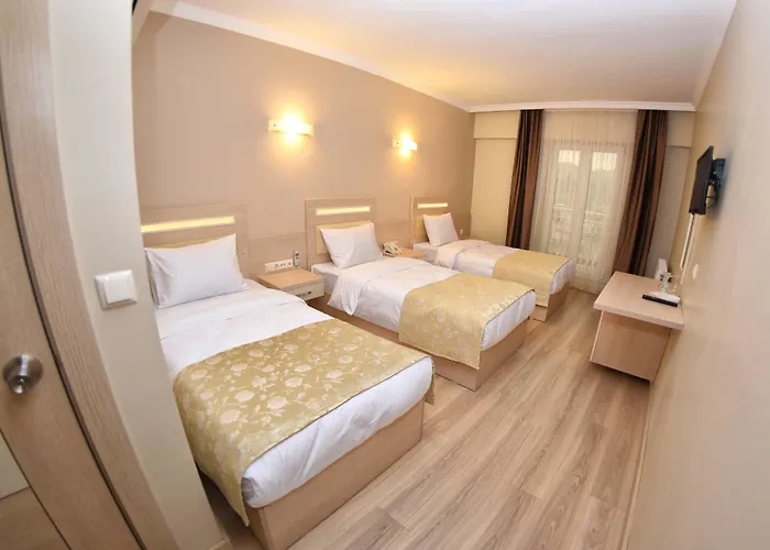 Sonerbey Otel Ordu