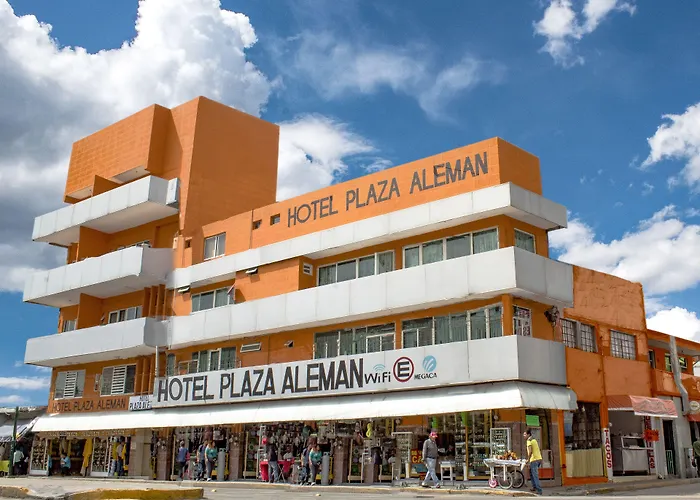 Hotel Plaza Aleman León