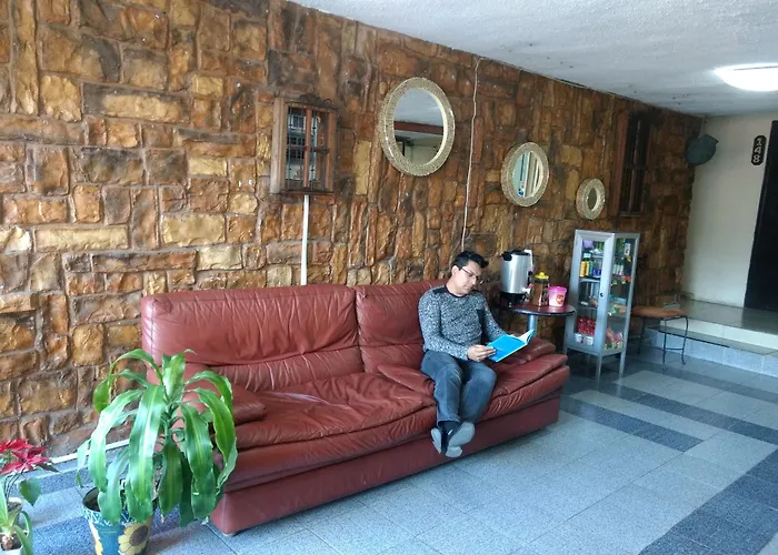 Hotel Plaza Aleman León