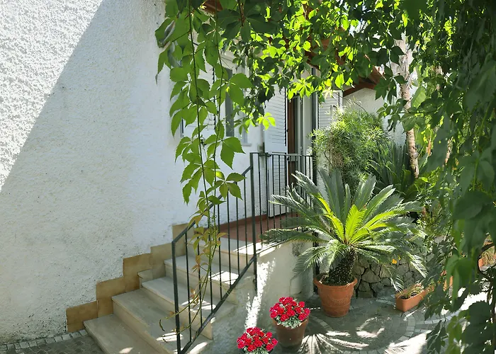 Casa Cigliano Hotel Forio 