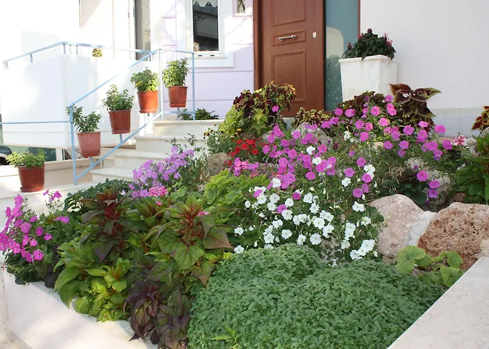 Veggie Garden Athens B&B