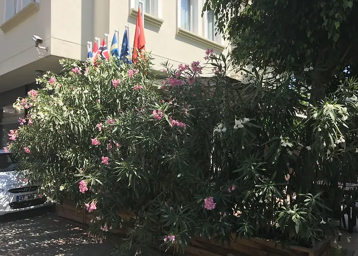 Narcis Apart Hotel Alanya