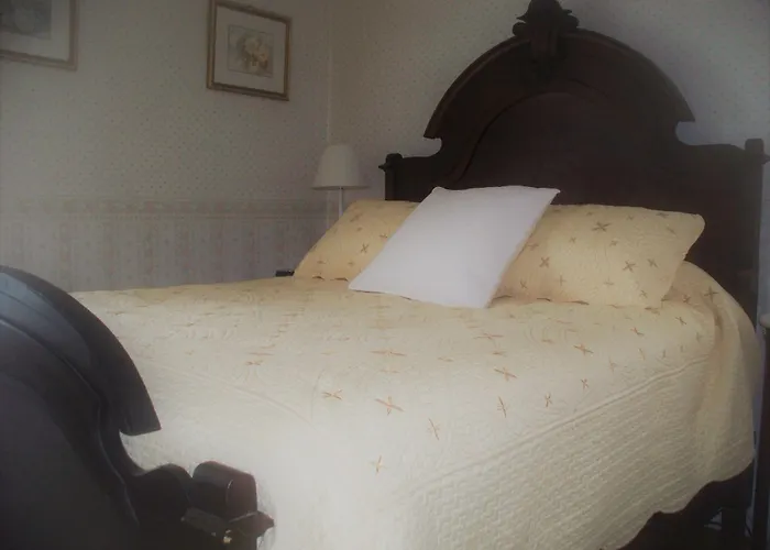 The Dominion House Bed & Breakfast Chester