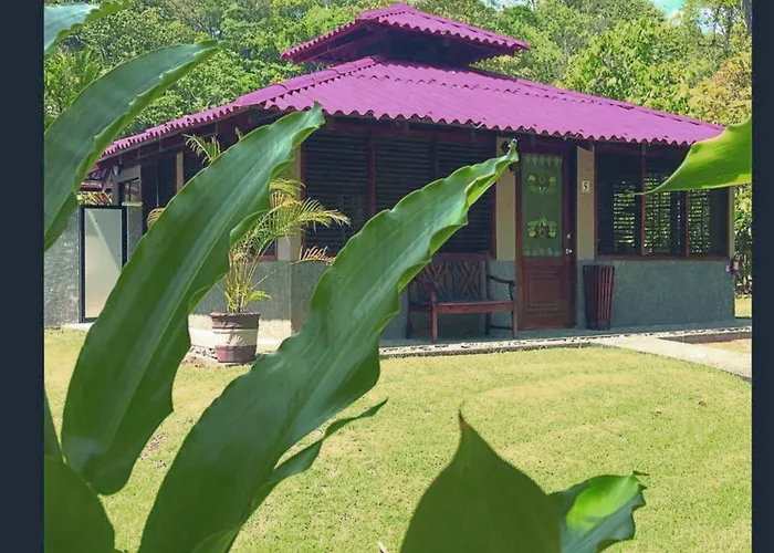 Casa Corcovado Jungle Lodge Drake Bay
