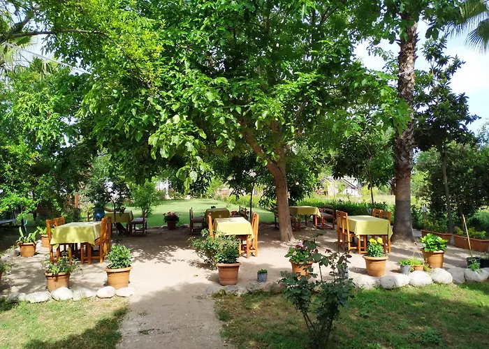 Olympos Yavuz Hotel Çıralı