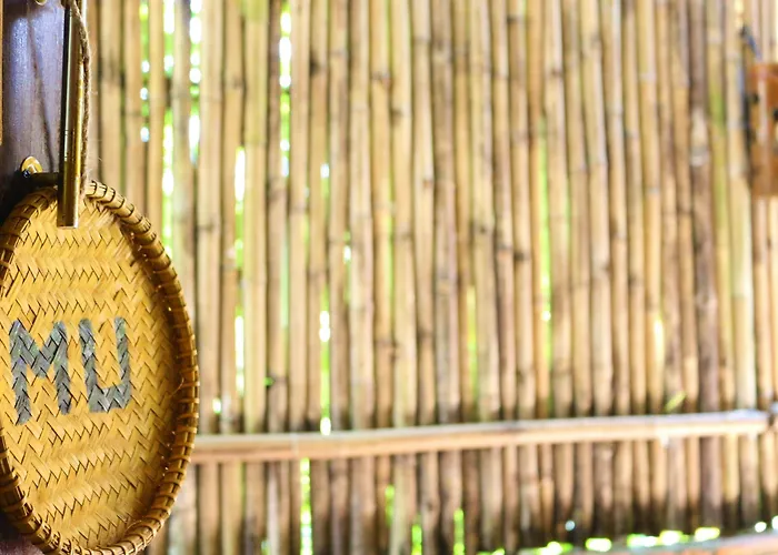 Under The Coconut Tree Hoi An Hotel