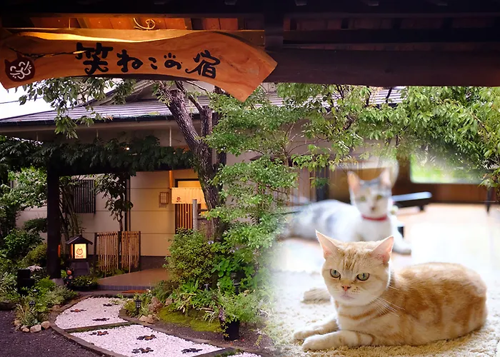 Waraneko No Yado Hotel Yufu