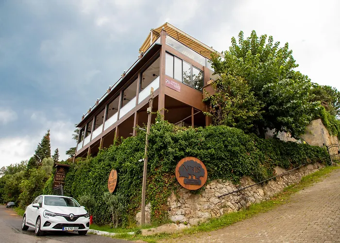 Sapanca Villa Suite