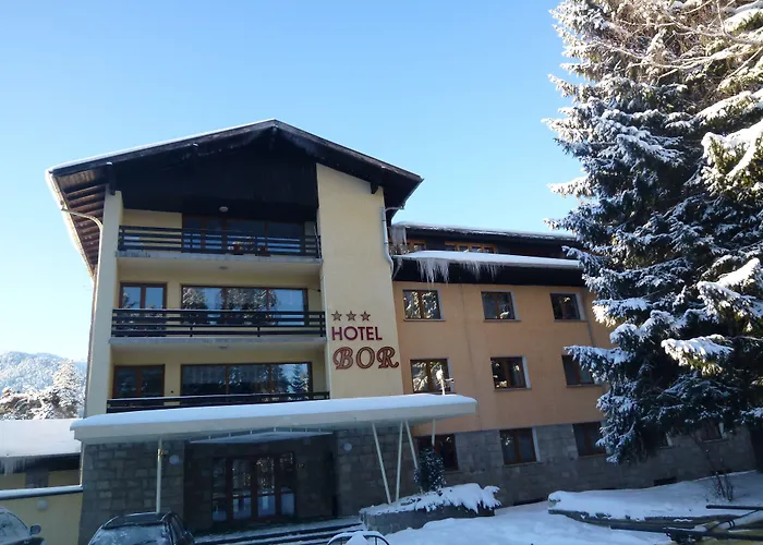 Hotel Bor Borowez