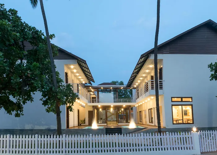 The Ivy Anjuna