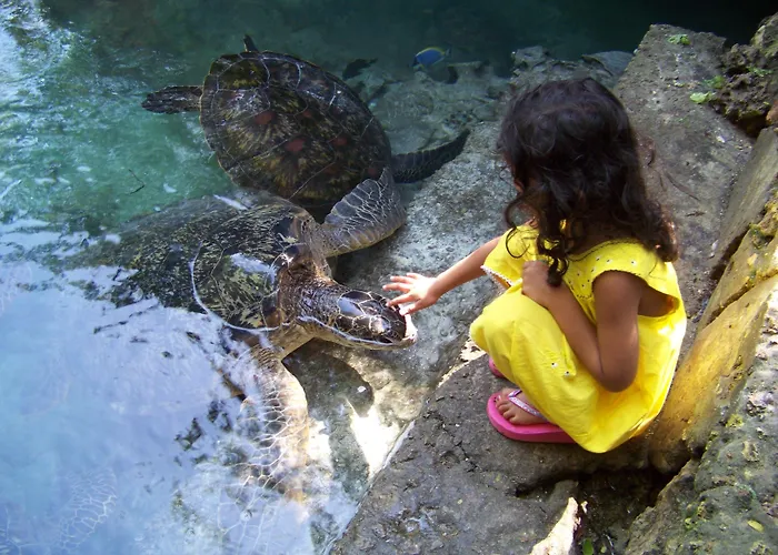 Baraka Aquarium Bungalows Nungwi