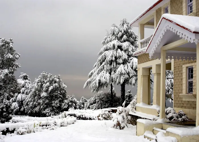 Tree Of Life Grand Oak Manor Binsar Hotel