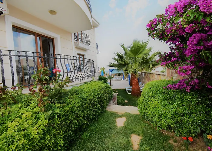 Cunda Paradise Butik Otel Ayvalı