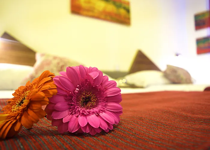 Astro Inn Hotel Express Xalapa
