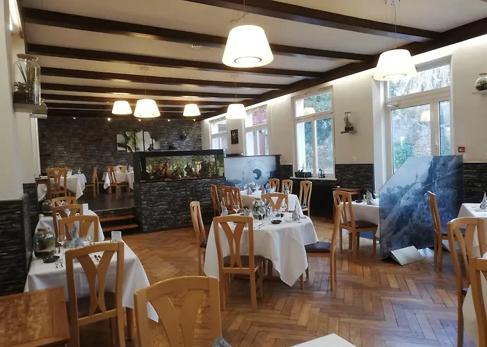 Hôtel Restaurant Le Moschenross Thann